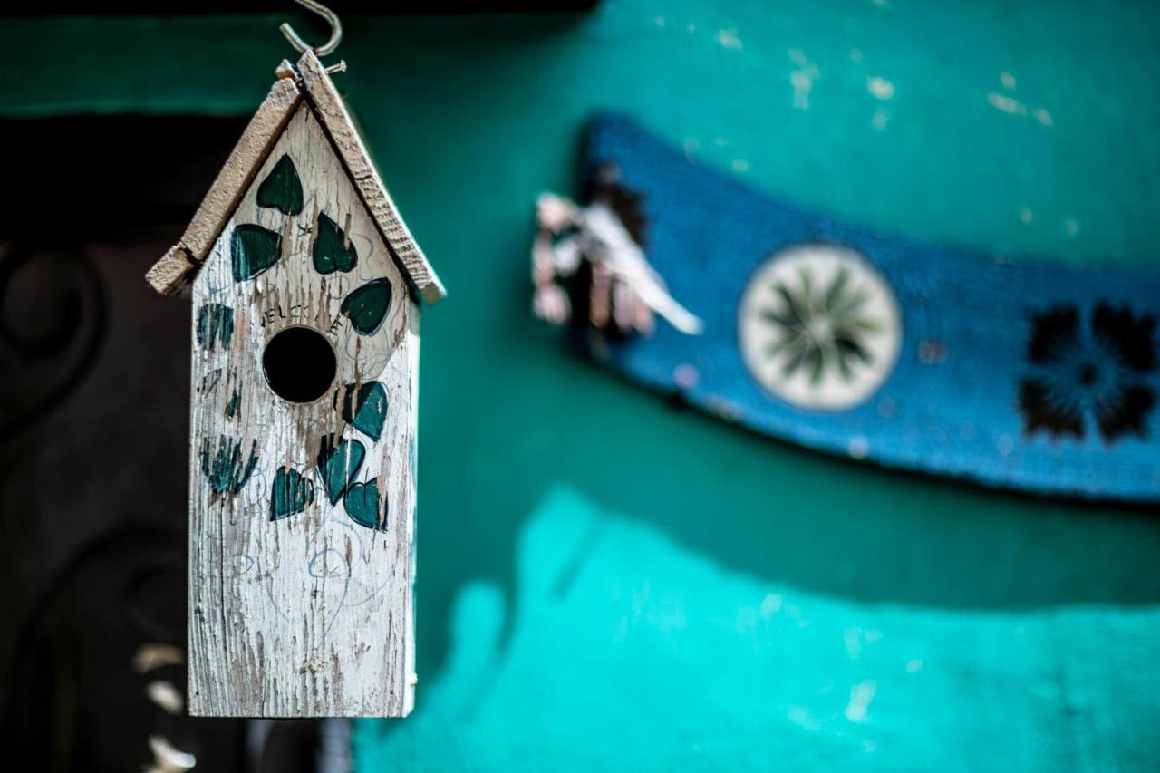 Le Cisterne B&B อเมเลีย ภายนอก รูปภาพ